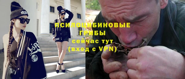 apvp Алзамай