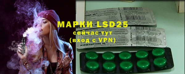 индика Абинск