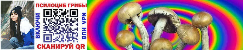Псилоцибиновые грибы Psilocybine cubensis  мега ссылки  Каменск-Шахтинский  где купить  