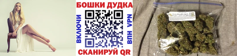 продажа наркотиков Каменск-Шахтинский Конопля сатива